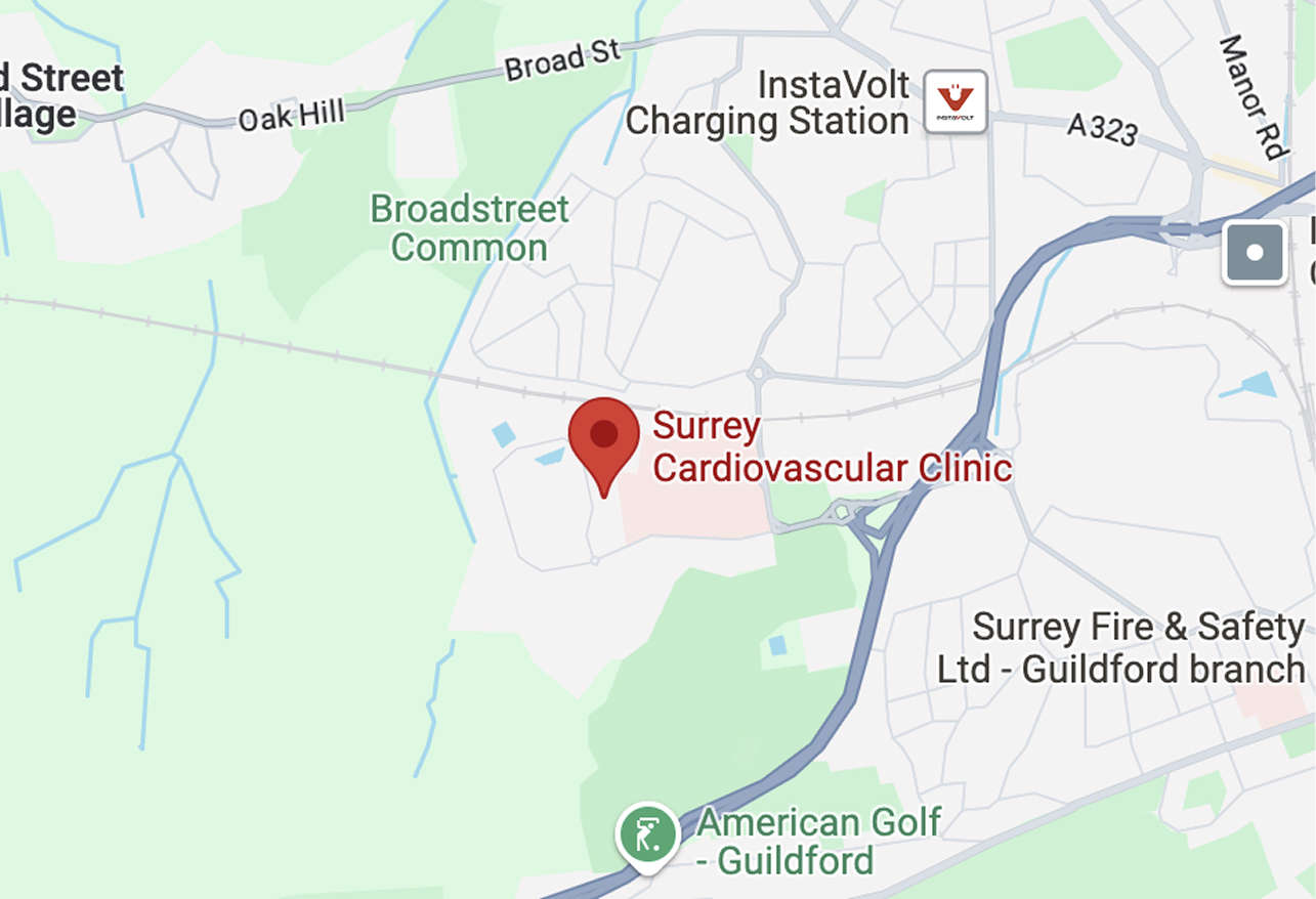 Surrey Map